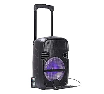 igear bluetooth speaker price