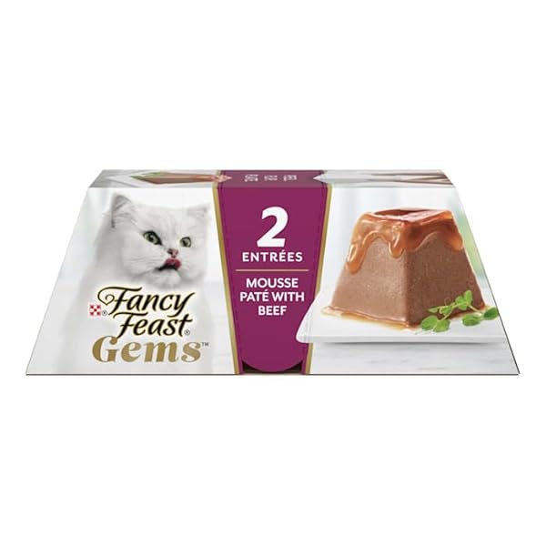 FANCY FEAST, GEMS MOUSSE PATE WITH BEEF AND HALO OF SAVORY GRAVY WET CAT FOOD, 4 OUNCE