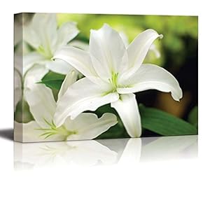 Canvas Prints Wall Art - Close Up of White Lily Floral/Flower Photograph | Modern Wall Decor/Home Decoration Stretched Gallery Canvas Wrap Giclee Print & Ready to Hang - 12" x 18"
