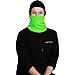 Turtle Fur Shellaclava, Heavyweight Chelonia 150 Fleece Balaclava