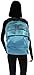 JanSport Mesh Pack Backpack