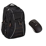AmazonBasics Laptop Backpack (AB 103), with