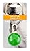 LED Pet Dog / Cat Collar Light, designed by Friends Forever (5 Pack)