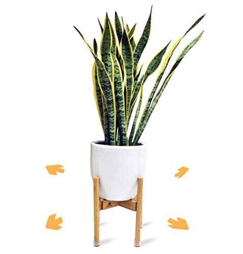 Extendable Mid Century Modern Plant Stand for Pot Sizes 8" to 12" in Natural Bamboo Color | Protective Leg Caps | Great Wood Planter Stands for Indoor and Outdoor | EXCLUDE Ceramic Pot and Plant
