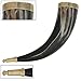 Brass Adorned Viking Drinking Horn with Metal Stand
