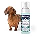 Petpost | Fresh Breath Foam for Dogs - Mint & Apple Flavored Dental Solution That Eliminates Bad Breath - Natural Tooth Cleaning Treatment 5 oz.