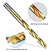 Twist Drill Bit Set(12PCS), Werkzeug Titanium Drill Bit Set General Purpose High-Speed Steel, Metal Drill Bits Set for Wood, Plastic, Metal, Aluminum Alloy etc (1/8