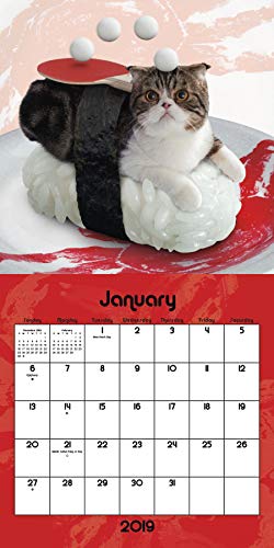 Sushi Cat Calendar 2019 Set - Deluxe 2019 Funny Sushi Cat Mini Calendar (Bundle with Over 100 Calendar Stickers)