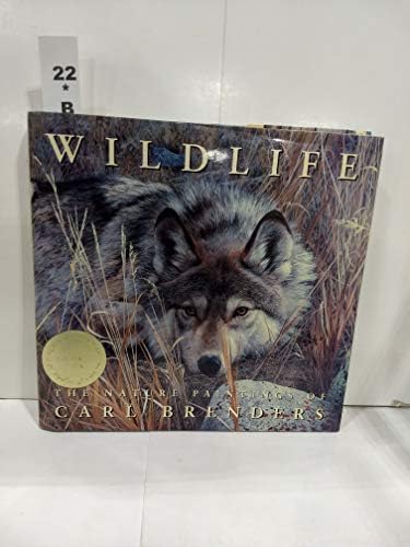 Drawing America's Wildlife: An Artist's Portfolio of North