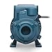 Tooluxe 50635 Electric Centrifugal Clear Water Pump, 0.5 HP | Pools, Ponds, Irrigation, Garden, Sprinkling | 380 GPH