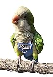 Bird Clothes Parrot Diapers Bird Flight