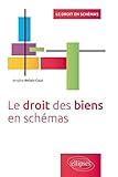 Le droit des biens en schémas by 