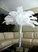 Sowder 12-14inch(30-35cm) Ostrich Feathers Plume for Wedding Centerpieces Home Decoration Pack of 10pcs(White)