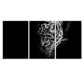 Silent Jaguar Portrait - 3 Panel Canvas Art