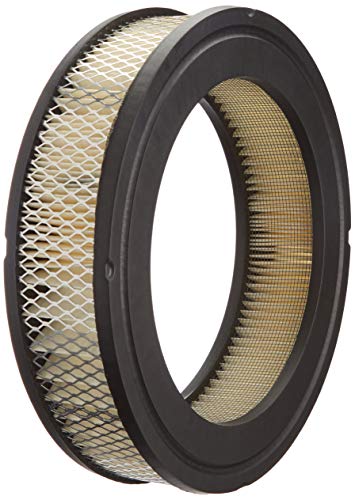 Fleetguard AF484 Luftfilter