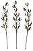 Cotton Stems - 3 Stems/Pack - 10 Cotton Buds/Stem - 20