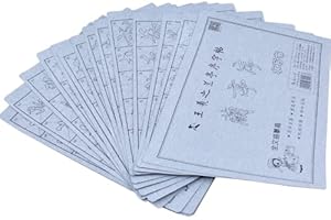 Tianjintang Eco-Friendly No Ink Needed Chinese Calligraphy Water Writing Magic Paper Set for Beginners Pack of 17 pcs The Orchid Pavilion Wangxizhi Style王羲之兰亭序