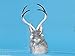 StealStreet R1803GY Jackalope Bunny Rabbit Lifelike Decoration Model Collectible Figurine