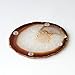 JIC Gem Natural Sliced Agate Coaster with Rubber Bumper Set of 4 (3-3.5
