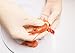 Adenna HGLW22 Handy Guard 4 mil Latex Powdered Gloves (White, Small)