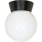 Nuvo Lighting SF77/157 Transitional One Light Flush Mount in Black finish