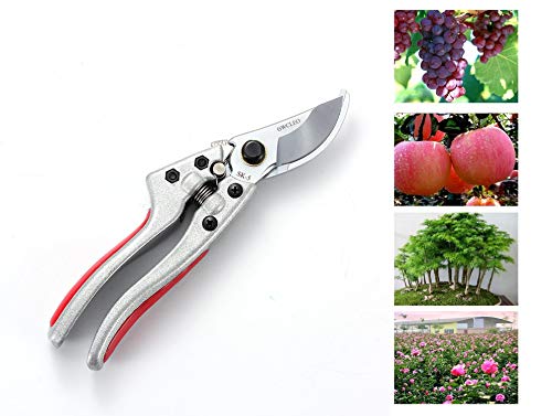 GWCLEO Gartenschere, SK-5 Edelstahl Astschere mit Sicherheitsverschluss,Profi Hande Beschneiden Scheren,Griff aus Weichen Gummi zum Schneiden Büsche,Obst Baum,Sammeln Fruits und Gartenarbeit – Bild 3