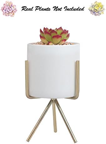 Succulent Planter Pot with Stand, 5.7" H Modern Minimalist Indoor Geometric Metal Holder with White Round Ceramic Flower Pot for Succulents Air Plants Small Cactus Herb Fern Bonsai by Ebristar -Medium