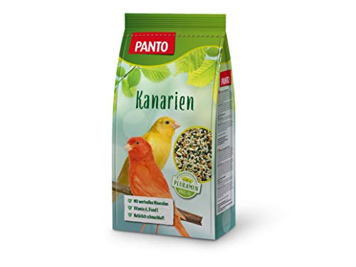 PANTO Kanarienfutter mit Pluramin, 5x1kg - Ziervogelfutter aus bunter Saatenmischung, Vogelfutter ohne Nüsse