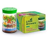 Momila DIY Terrarium Kit - Gifts for Boys & Girls Ages 6 7 8 9 10 Year Old | Kids Toys | Science Kits for Children - Grow and Glow A Miniature Garden w/ LED Light On Lid & Lifelike Miniatures