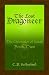 The Lost Dragoneer (The Chronicles of Susah Book 2) by C. D. SUTHERLAND