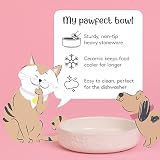 Mason Cash Colour Mix Cat Saucer 13cm 200ml Stoneware Bowl view 2