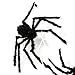 JInSEY Giant Spider + Spider Web Decoration,Halloween Decoration 59