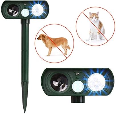 stop dog from eating cat poop