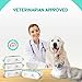 PETRIBE Large Pet Wipes, Grooming & Deodorizing Wipes for Dogs & Cats, Moist & Thick 100 Fresh Count, 100% Natural & Hypoallergenic Puppy Wipes