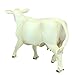 Safari Ltd Safari Farm Charolais Cow
