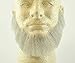 Rubies Full Character Beard LIGHT GREY w/Spirit Gum - 100% Human Hair - Adhesive Included - no. 2024 - REALISTIC! Perfect for Theater and Stage - Reusable!