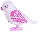 Little Live Pets Bird - Sweet Harmony