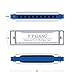 YYLIANG Baby Toys Standard 10 Hole Harmonica - C polyphony Harmonica - Blues Harmonica -With Harmonica case (Blue)