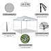 LAKE & TRAIL 10'x10' Striaght Leg UV Block Sun Shade Canopy with Hardware Kits, Shade for Patio Outdoor Garden Events, White