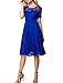 Aonour AR8006 Women's Vintage Floral Lace Elegant Cocktail Formal Swing Dress with Short Sleeve RoyalBlue L