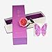 econoLED Long Stem Dipped 24k Gold Trim Red Rose in Gift Box,valentines Gifts for Couples, Cute Valentines Day Gift Ideas, Good Couple Gifts for Valentines, Romantic Anniversary Gifts(Pink)