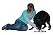 Company of Animals Nina Ottosson Dog Magic Interactive Plastic Toy