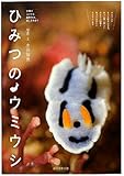 ひみつのウミウシ―分類のコツから撮影方法、楽しみ方まで
