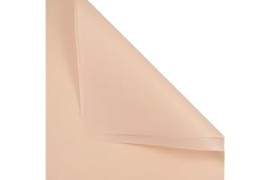 BBJ WRAPS Korean Style Flower Wrapping Paper Floral Bouquet Wraps Gift Packaging Florist Supplies 20 Counts (Light peach)