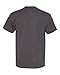 Hanes Men's Big-tall Beefy T-shirt-d, Charcoal Heather, 2XLT