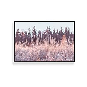 NWT Framed Canvas Wall Art for Living Room,...