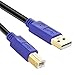 Printer Cable 1Ft, Tanbin 2Pack 1ft USB 2.0 High Speed Gold-Plated Connectors Printer Scanner Cable Cord A Male to B Male