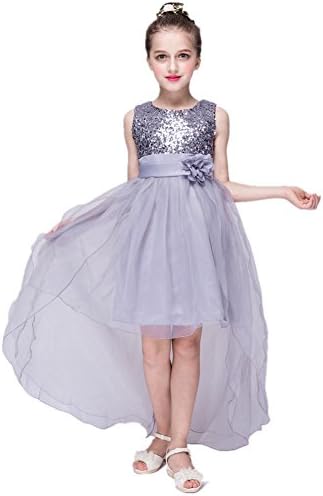 Azhido Kids Flower Sequins Occasion Tailing Dress Girls Pageant Size 6 To 12 (6, Gray)