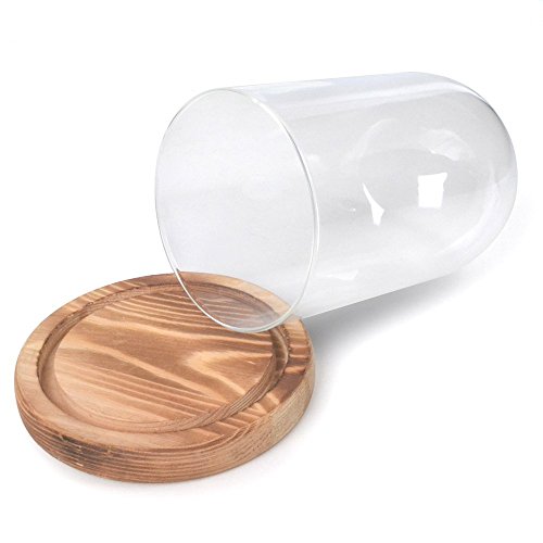 Reelva Decorative Clear Glass Cloche Bell Jar Display Case (D9H15cm)