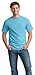 Hanes Mens Tagless 100% Cotton T-Shirt